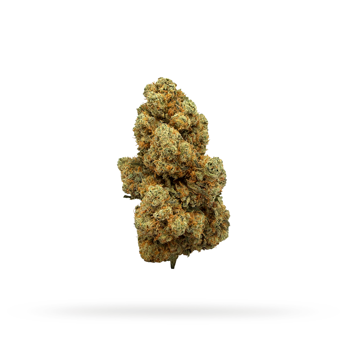 Amnesia