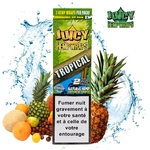 blunt_chanvre_juicy_tropical_fero-0443_fr_x1