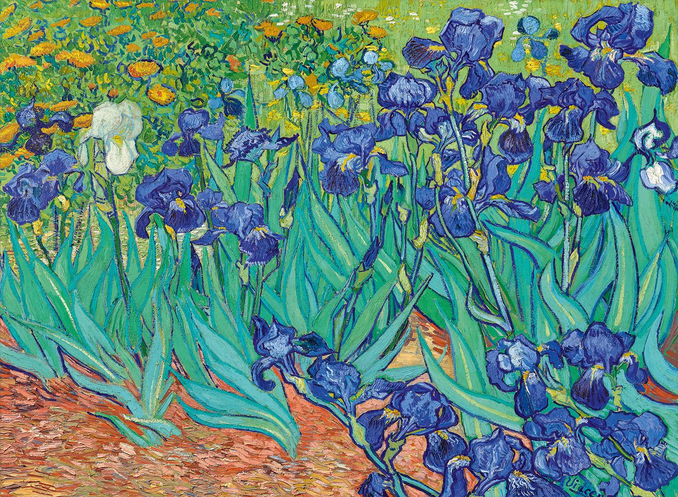 puzzle-bluebird-3000-pieces-vincent-van-gogh-irises