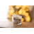LesBougiesdeFanny-02Novembre2025-CollectionNoel2025-3