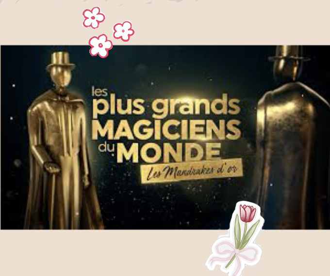 Logo d'une enseigne partenaire de Jelibougie