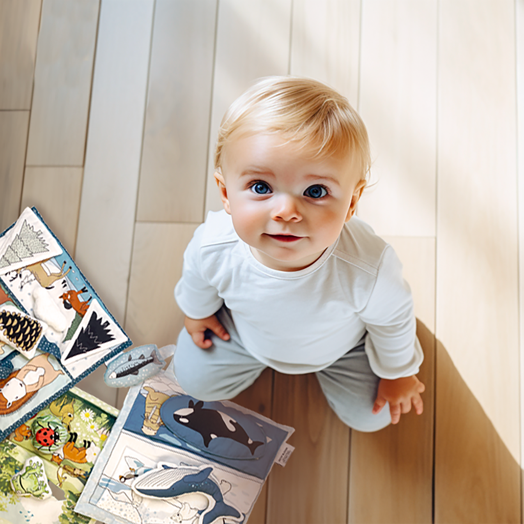 bébé panneau ht def