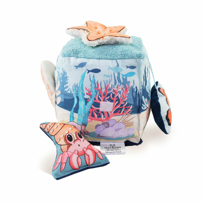 CUBE-ACTIVITÉS-OCEAN-PETIT-BLOOM