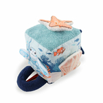 cube-océan-étoile-de-mer-petit-bloom