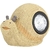 61LPOVs4pFL._AC_SL1001_