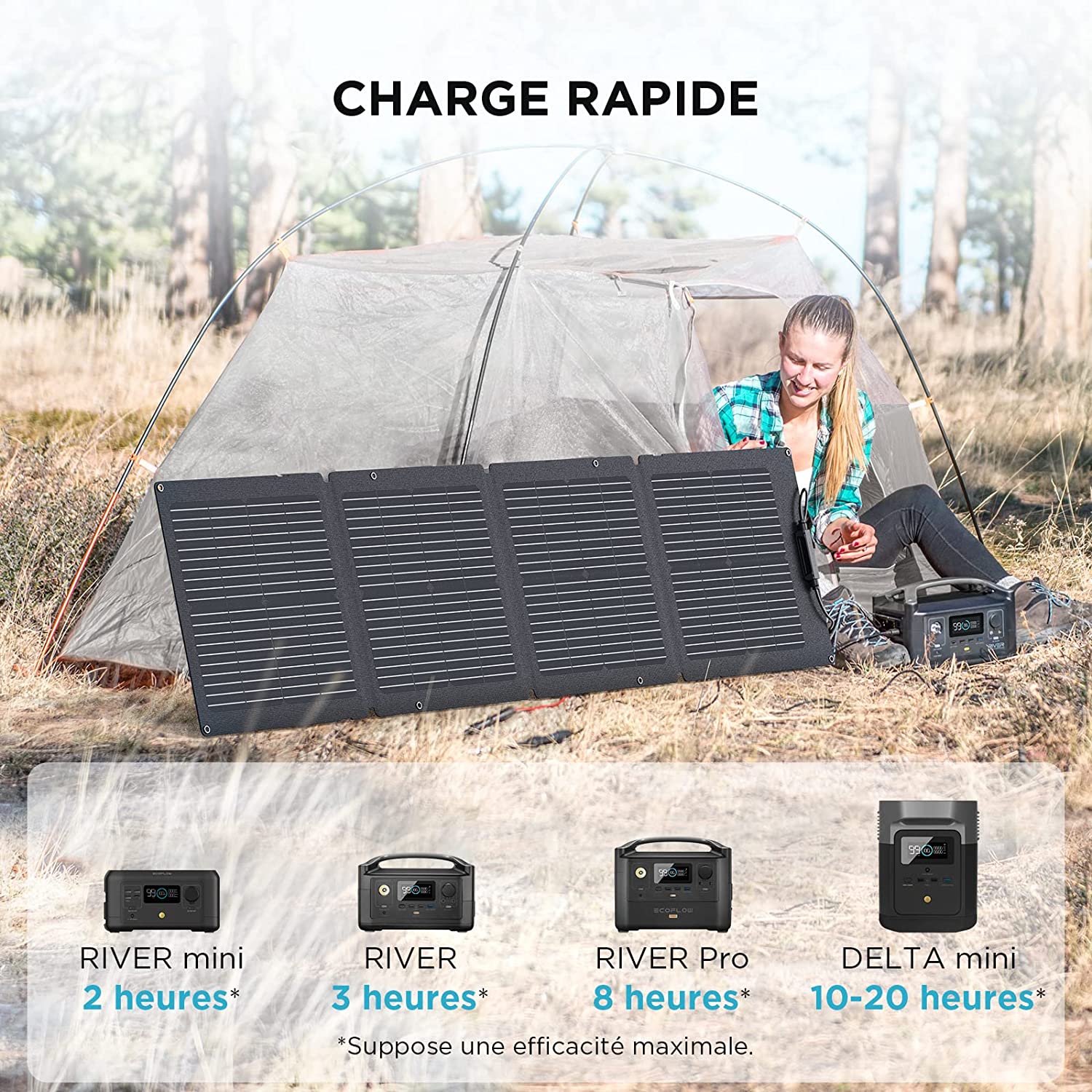Panneau solaire portable EcoFlow, vue 2