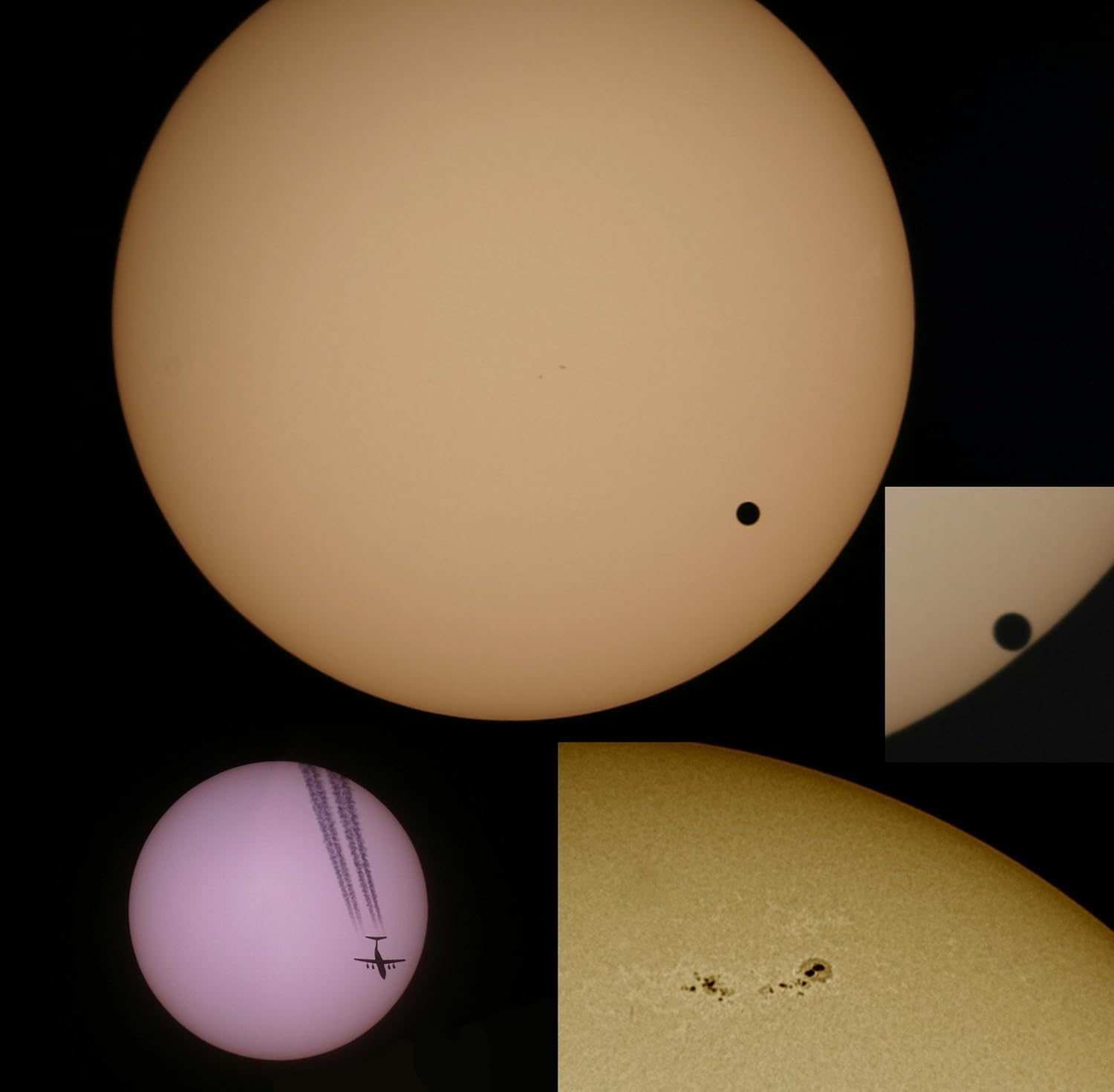 81ESVn3TAtL._AC_SL1500_