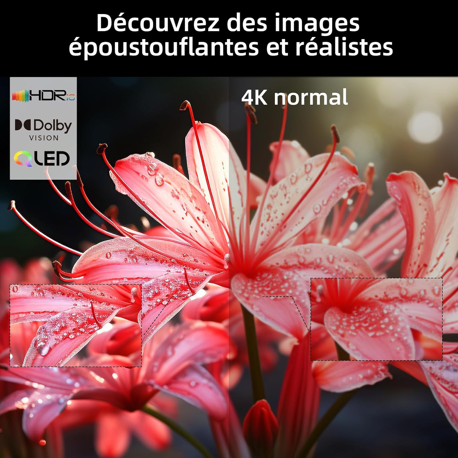 71ce1hIVSSL._AC_SL1500_
