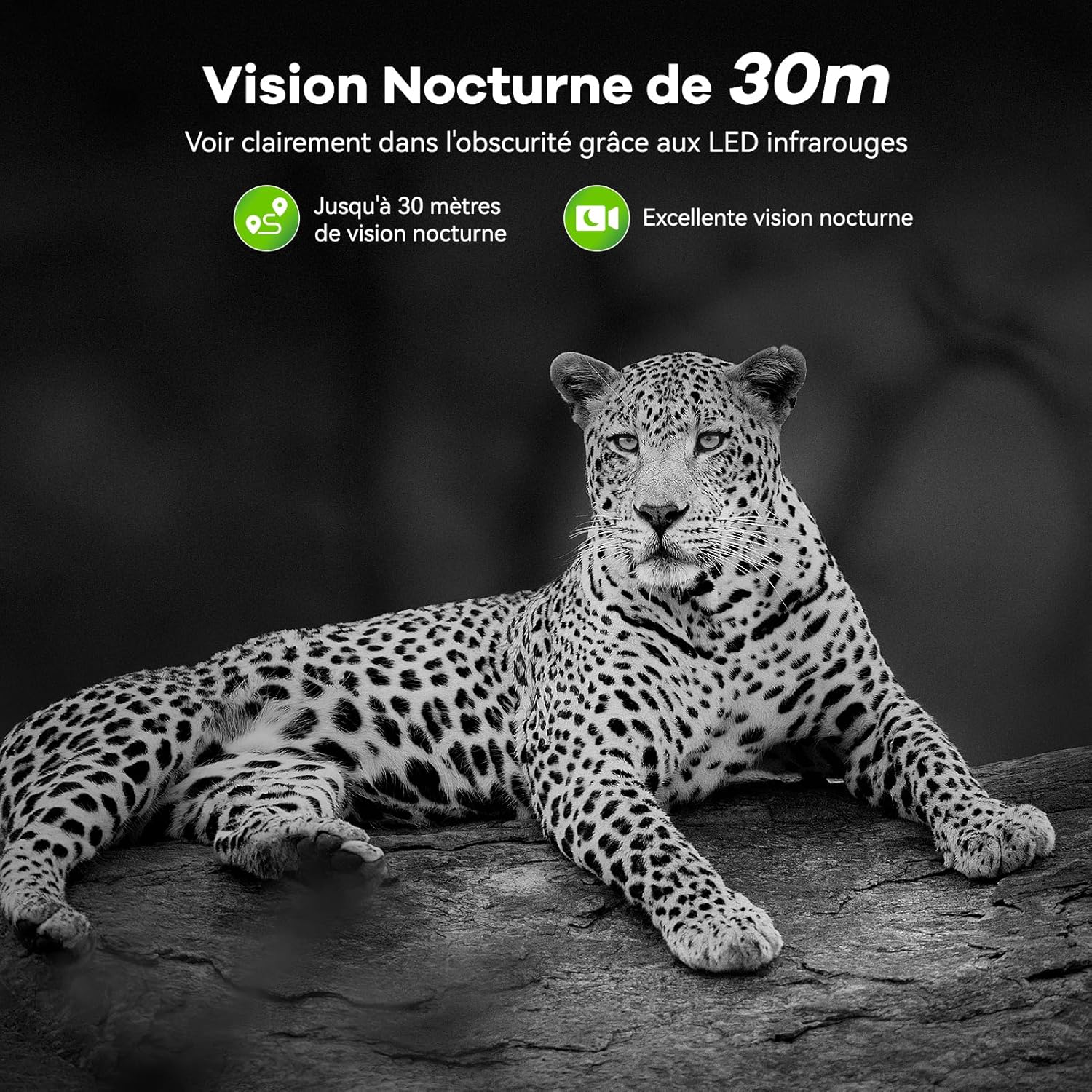 81iCAUfpMqL._AC_SL1500_