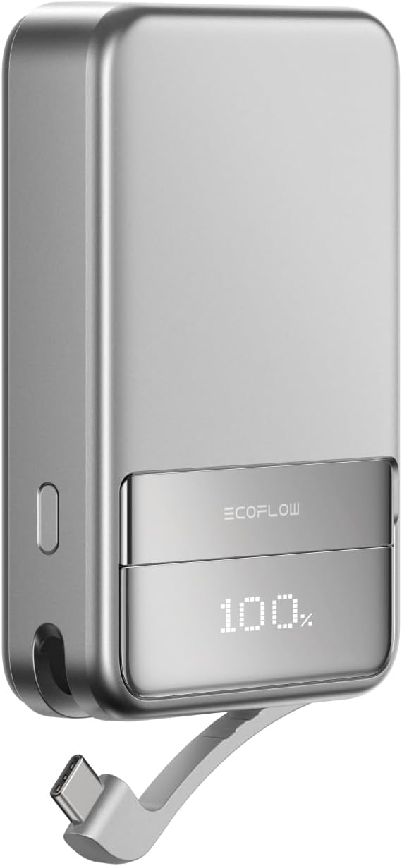 Batterie Portable Magnétique EcoFlow 65W