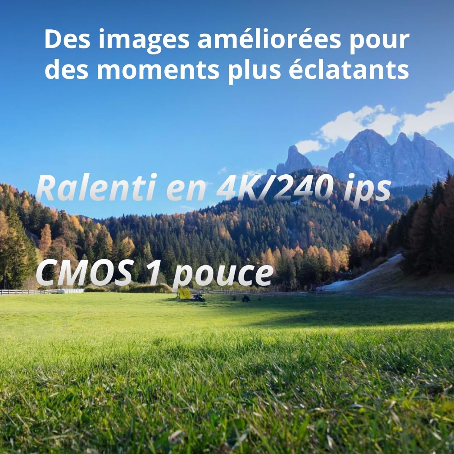 81PVD1dhslL._AC_SL1500_