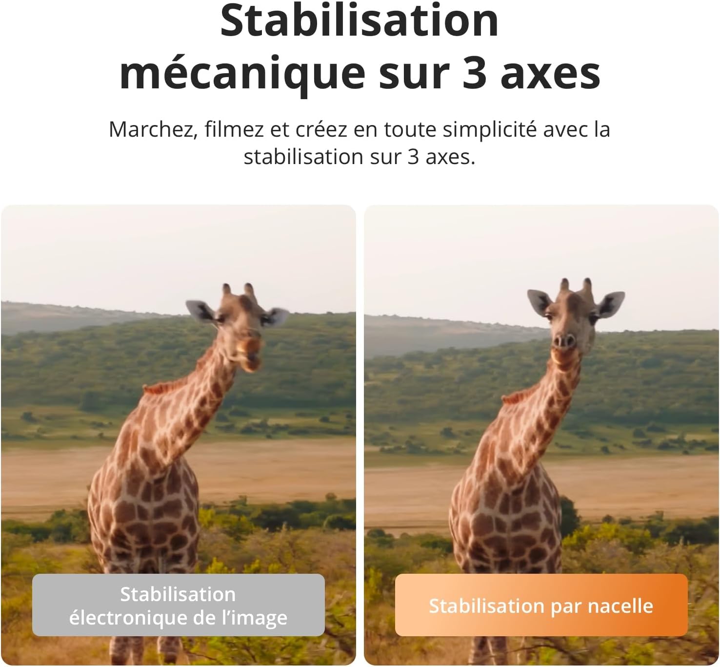 71MyiqMMEyL._AC_SL1500_