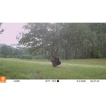 Piège photographique Bushnell Core 4K, vue 8