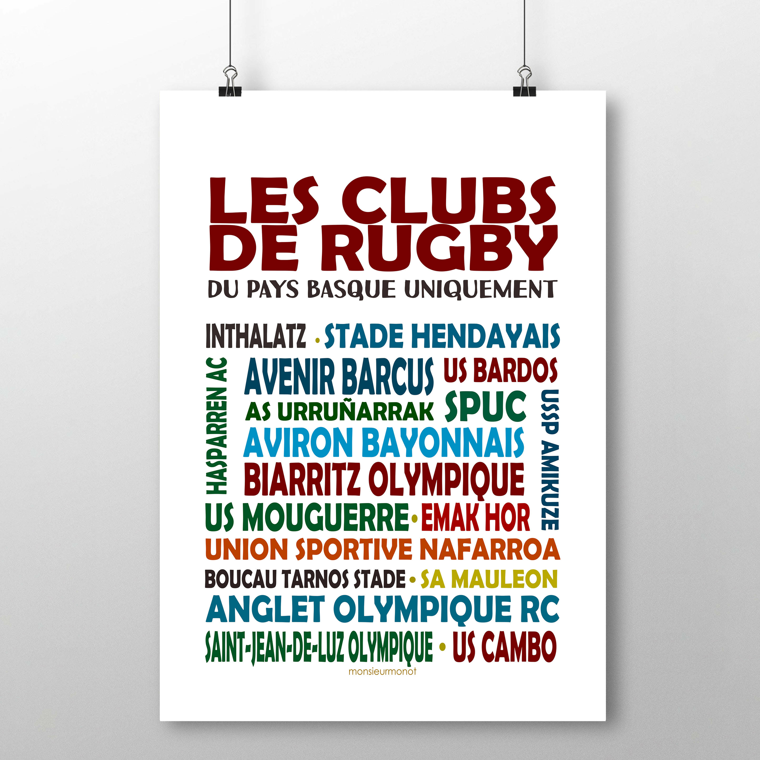 rugby basque couleur