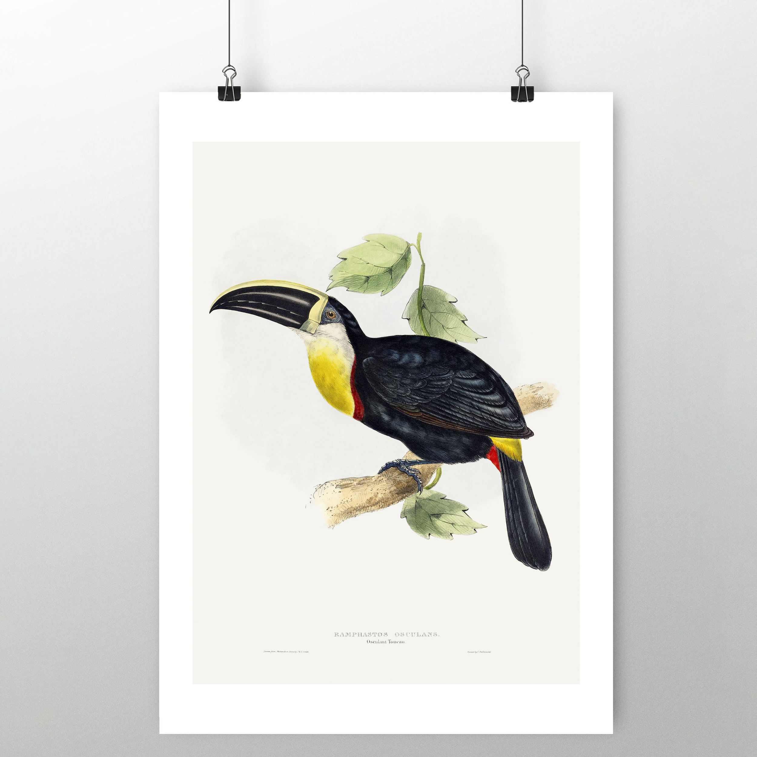 affiche vintage 27