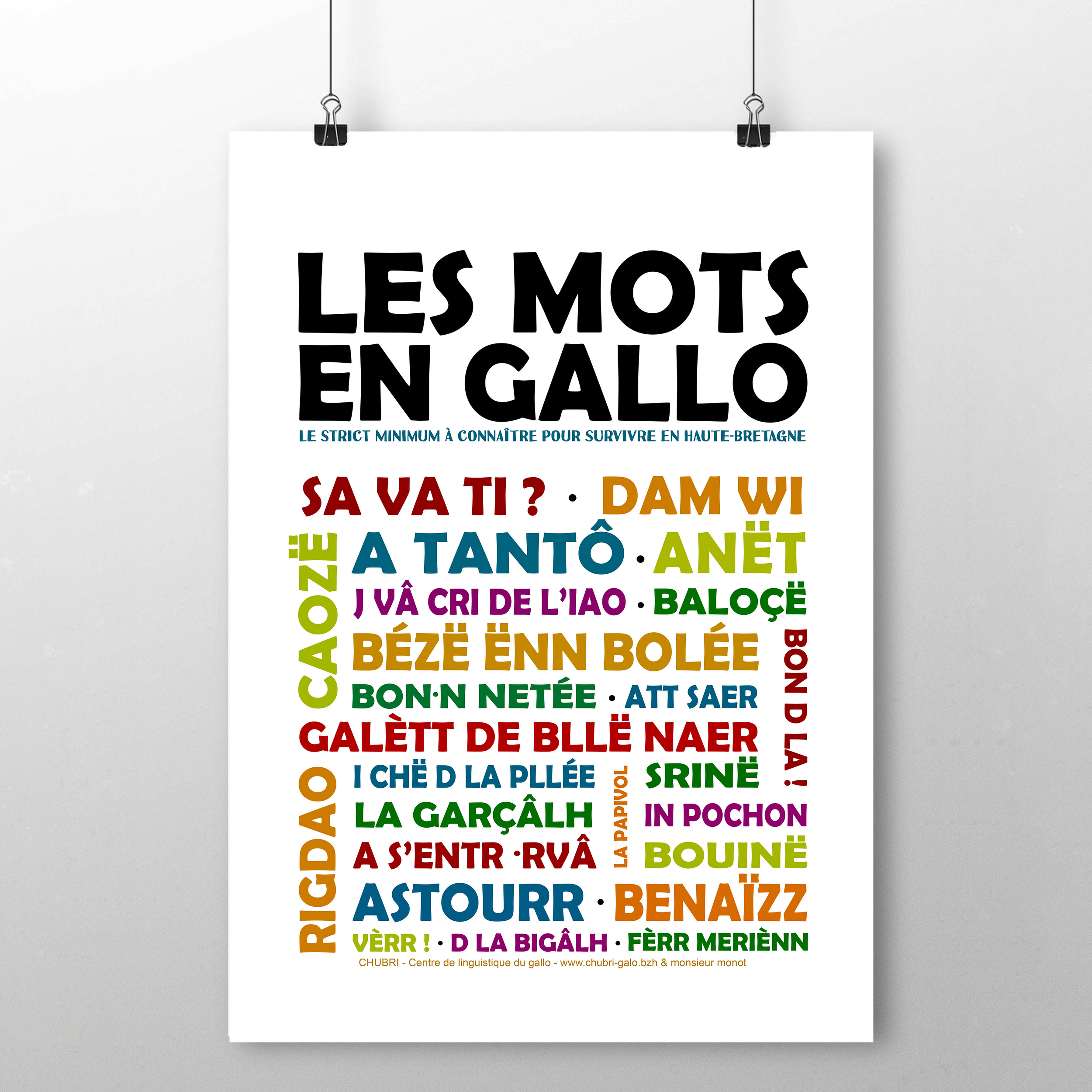 Affiche Les Mots En Gallo couleur 2