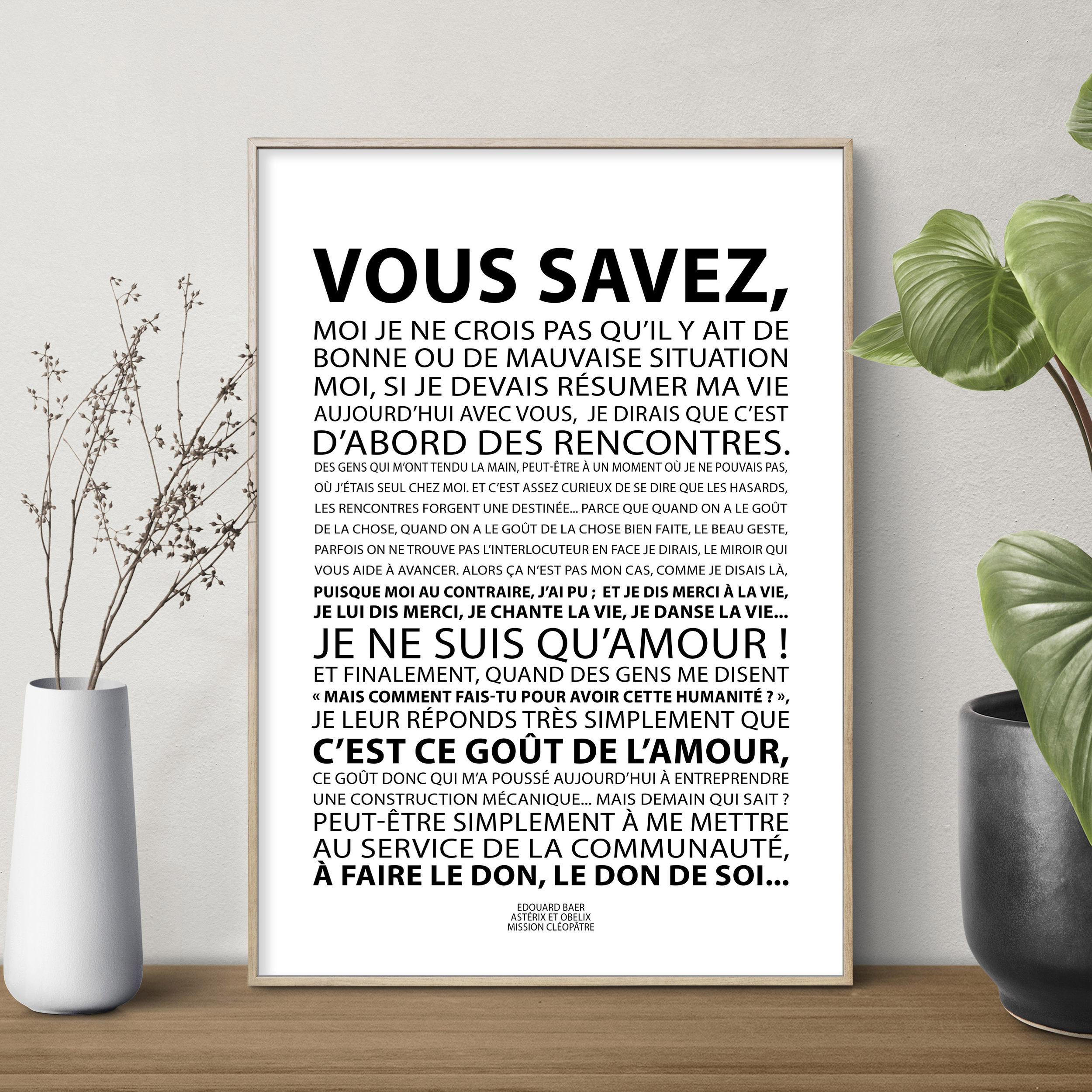Affiche Edouard Baer Asterix et Obelix