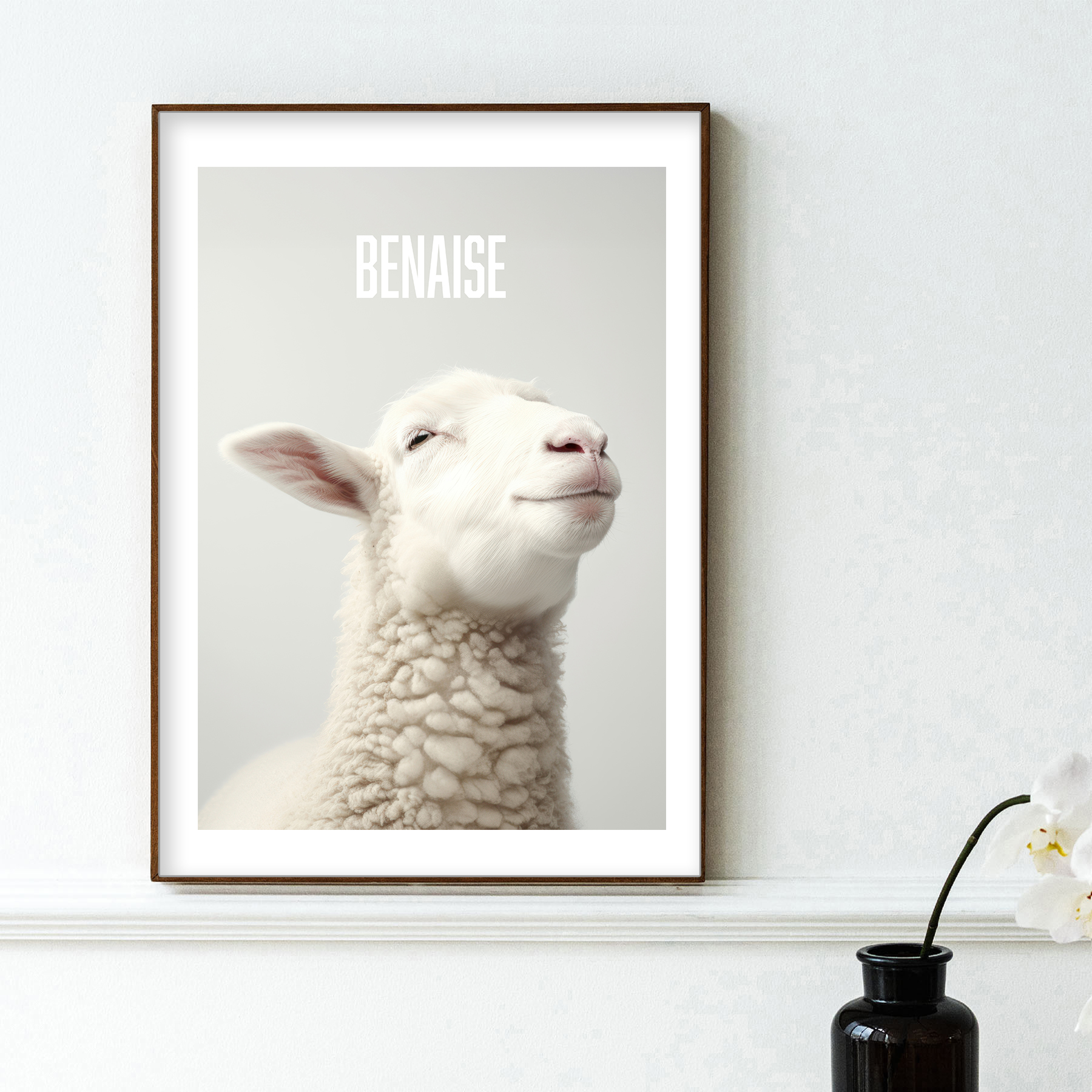 affiche Benaise photo