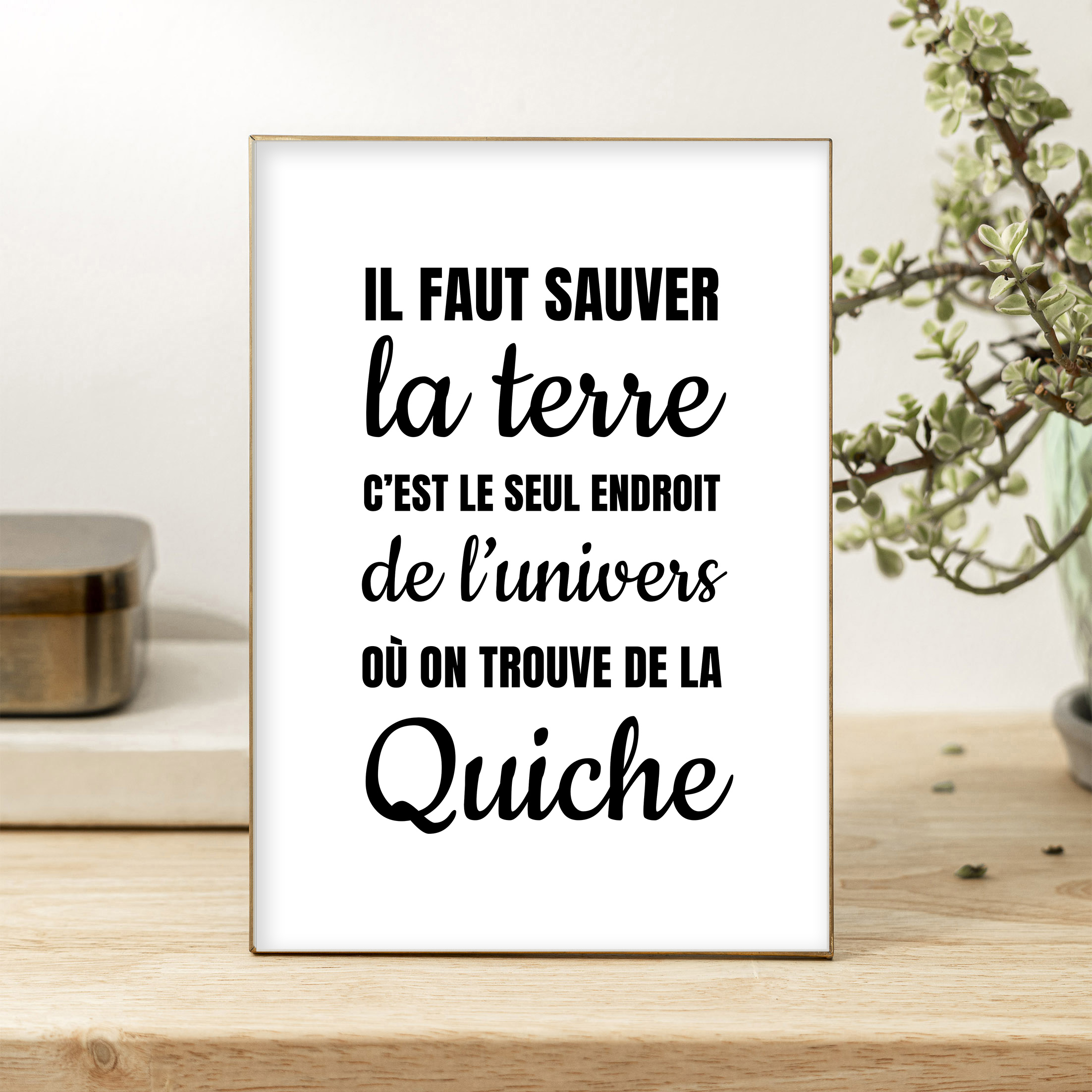 affiche Il faut sauver quiche
