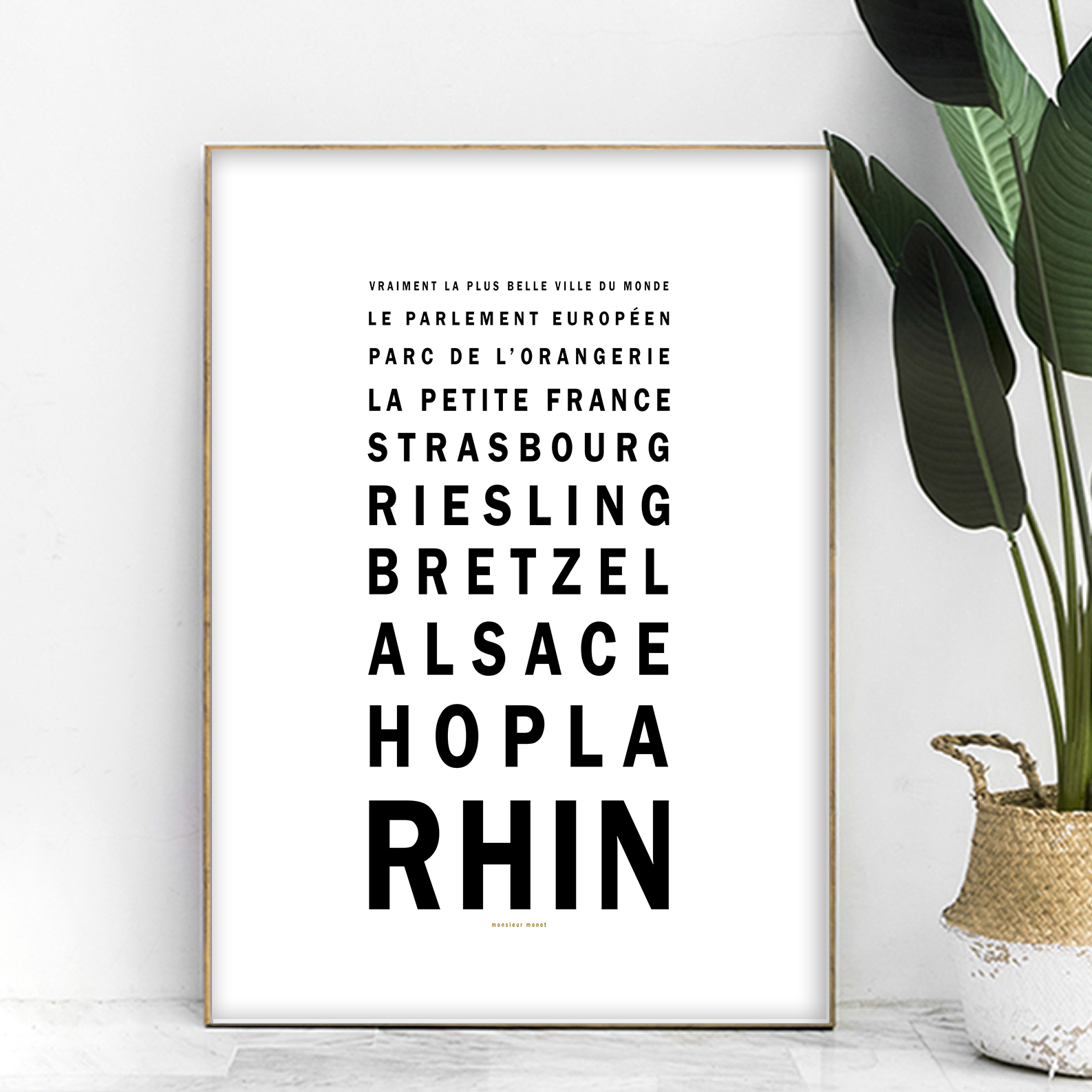 affiche Opticien Strasbourg