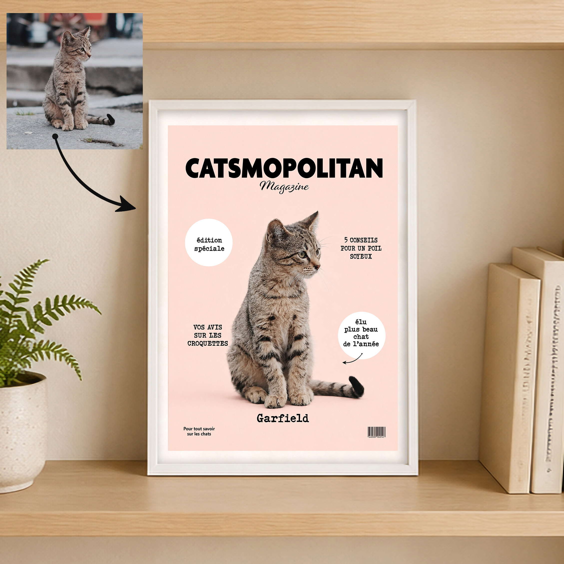 Mockup Catsmopolitan 3