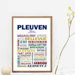 pleuven 2
