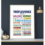 treflevenez 2