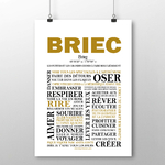 briec positive 3