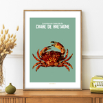 Crabe de bretagne 2