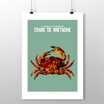 Crabe de bretagne