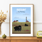 Ouessant les moutons 2
