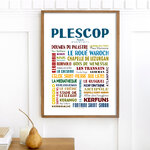 Plescop 2