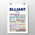 elliant 3