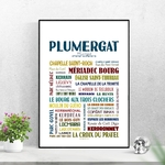 affiche plumergat
