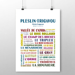 affiche Pleslin Trigavou 2