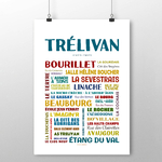 affiche Trélivan 2