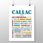 affiche Callac 2