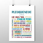 affiche Pleugueneuc 2