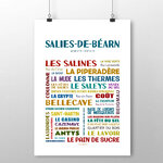 affiche de Salies-de-Béarn 2