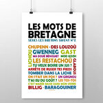 affiche Les mots de Bretagne Tome 2 2