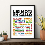 Affiche Les Mots En Gallo couleur