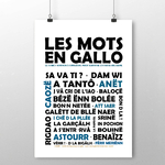 affiche Les Mots en Gallo - Noir et Bleu 2