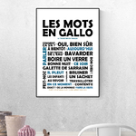 affiche Les Mots en Gallo - La Traduction Noir et Bleu