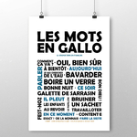 affiche Les Mots en Gallo - La Traduction Noir et Bleu 2