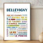 Affiche Bellevigny