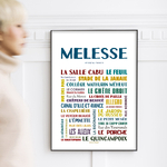 affiche Melesse