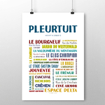 affiche Pleurtuit 2
