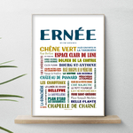 affiche Ernée