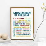 Affiche Montauban de Bretagne