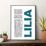 affiche Lilia Plouguerneau new